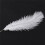 40 Pieces White Natural Ostrich Feather 20-25cm Wedding DIY 7