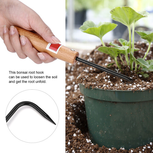 Durable Bonsai Root Hook Beech Wood 1