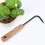 Iron and Beech Bonsai Root Hook 6