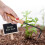 Durable Bonsai Root Hook Beech Wood 6