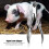 Stainless Steel Piglet Teeth Clipper, 10cm, Silver, Durable 3