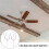 3Pack Ceiling Fan Light  ZE-110 Fan  3 Way Speed Fan  Ceiling Pull Chain  Replacement 10