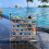 2PCS Acrylic Magnetics Seashell Display Box Diamond Gemstone Beads Storage Display Organizer Box Grids Clear Acrylic,E 2
