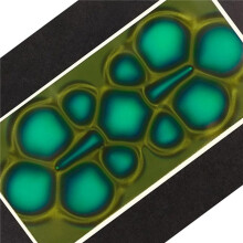 3X Magnetic Viewing Film, 2inchx 4inch Magnetic Field Viewer for Scientific Projects,Reusable and Automatic Recovery