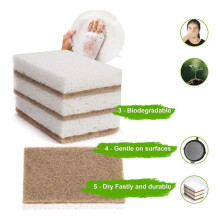 Eco-Friendly Natural Sponges for Dishes 36 Pack - Biodegradable Kitchen Sponge with Compostable Coconut Scrubber
