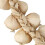 6X House Kitchen Garden Indoor Decor Artificial Garlic Strings 6