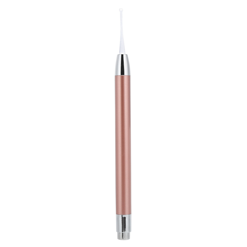 20pcs Stainless Steel Earwax Removal Kit with Light and Tips