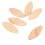 100Pcs No.20# Assorted Wood Biscuits for Tenon Machine Woodworking Biscuit Jointer 5