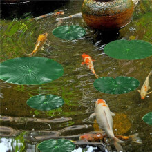 50 StüCk 5 Arten KüNstlicher Schwimmender Schaum LotusbläTter SeerosenbläTter KüNstliches Laub Teich Dekor für Pool Aquarium Dekor