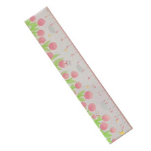 Measurement 15cm Color Plastic Ruler Multipurpose