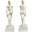 20cm Removable Anatomical Skeleton Model for Classroom Teaching and Art Study, Durable Mini Human Skeleton 3