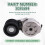 3095684 Tensor de Polea de Correa de Motor para  NT855 N14 Piezas de Motor 6