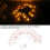 20LED Rose Gold Geometric String Lights for Indoor Decor, 3AA Batteries 6