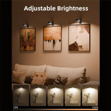 Schilderijverlichting voor aan de Muur, Oplaadbare Magnetische Posterverlichting met 3 Kleurtemperaturen en 12 RGB, Dimbare Timer op Afstand