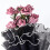 4 Meter Blompapper med Pärlkant, Bukettpapper, Blompapper med Nät, 3-Pack Svart 2