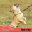 Artificial Leather Braid Dog Leash - S 5