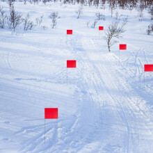 100pcs Red Marking Flag PVC Waterproof and Lightfast for Small Yard Markers Garden Survey Irrigation Landscape Flags
