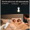 Remote Control Light Socket,Wireless Light  Kit with Timer,E26 E27 Bulb Lamp Holder ,for Attic,Garage,Stairwell 3