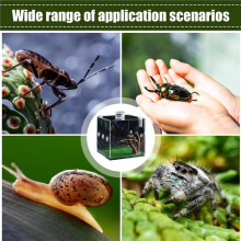 Contenitore per Rettili, Recinto per La Crescita di Ragni Saltatori e Scatola di Riproduzione per Piccoli Animali, Tartarughe, Coleotteri, Lumache,