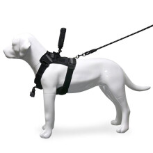 Pet Dog Photography Stand Vest Dog Harness Camera Mount Vest Pet Harness Action Camera Mount Holder