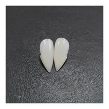 (17mm) Vampire Teeth Fangs for Halloween Cosplay (4 Sizes)