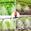 200 Pcs Three-Way Atomizing Nozzle, Adjustable Mist Nozzles, Drip Irrigation Emitters, Greenhouse Watering System 6