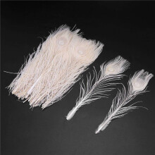 500 PCS/Natural White  Feathers in the Eye, 10 to 12 Inches of the  Feather Wedding Decoration