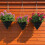 (3pcs14inch) 3PCS Durable Tear-Resistant Felt Pot Liner 1