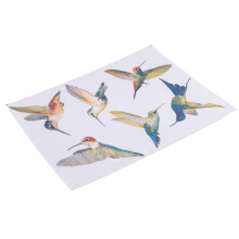 12 Stuks Lrge Size Bird Window Clings Anti-Collision Window Clings Decals Om Vogelaanvaringen op Vensterglas Te Voorkomen