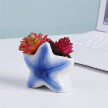 Marine Animal Flower Pots  Starfish Sharks Small Flower Pot Desktop Ceramic Glaze Flower Pot