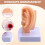 Human Ear Anatomy Model, Ear Structure Building Auditory System Otolaryngology Display Teaching,  Ear Model 5