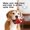 Interactive Dog Toy  - , Rechargeable, and Motion-Activated Fun for Your Pet 5