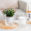 (100) Self-Watering Planter for Indoor/Outdoor Plants 2