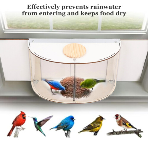360 View Window Bird Feeder