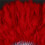 4X Donna Ventaglio Della Piuma 1920  BURLESQUE Costume ACCESSORIO - Rosso 9
