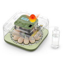12 Egg Incubator with Automatic Turner, Humidity Display and Green Breakage‑Resistant Storage Tray