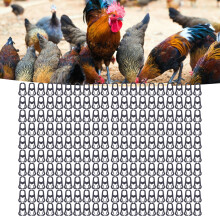 200PP Plastic Poultry Beak Rings Reusable