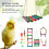 Colorful Parakeet Toy Set, 11 Sets, Swing Hammock 3