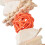 Calcium Cuttlefish Bone Parrot Toy Hand Woven 5