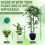 10pcs Stackable Plant Support Stakes for Monstera, Adjustable Height Extension for Indoor Outdoor Vine Training 2
