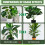 10pcs Stackable Plant Support Stakes for Monstera, Adjustable Height Extension for Indoor Outdoor Vine Training 3