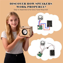 DIY Speaker Box Kit Electronic Sound Amplifier with 2 Wireless Mic ,Portable Wood Case Speaker Sound