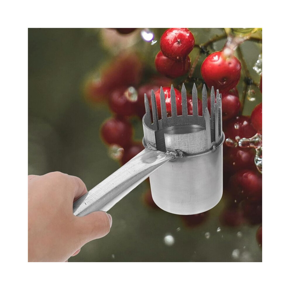 Fruit Picker Tool With Stainless Steel For Blueberry And Berry Harvesting Hand Tool For Home Garden And Outdoor 6031353688700