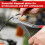 11 Inch Diagonal Cutting Pliers with High Leverage Wire Cutter Cable Cutting Nippers for Cable 5