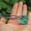 2S 7A-15A Brushless Motor Driver Board Aircraft Model Brushless Electric Regulator Module 2