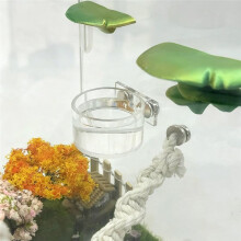Futternapf-Set mit Zange für Springspinnen, Terrariendekoration für Einsiedlerspinnen und Kleine Reptilien