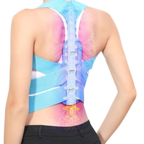 Adjustable Back Posture Corrector and Spine Support Brace for Shoulder Lumbar Alignment Small Size D 2