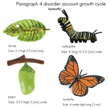 3X Simulatie Levenscyclus Figuur van een Monarchvlinder Groeicyclus Insecten Dieren Educatief Biologie Wetenschappelijk Speelgoed