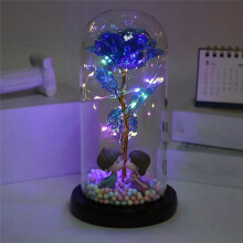Valentines Day Rose Gift for Her - Butterfly Rose in Glass Dome with LED Rose Red