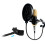 Studio-Popfilter zweilagig 5